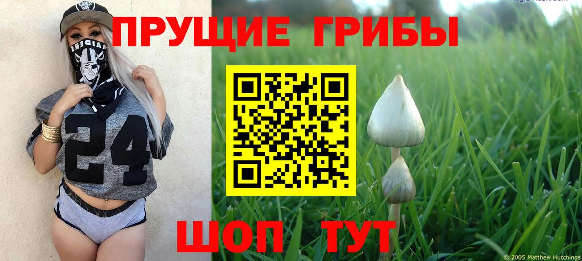 Галлюциногенные грибы Cubensis  Вход с VPN  Полысаево 