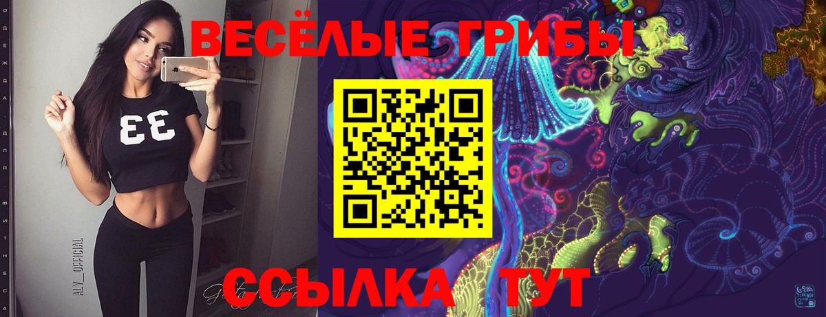 Галлюциногенные грибы ЛСД Полысаево